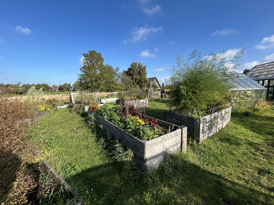 手入れをする人へ配慮した高さのある花壇　