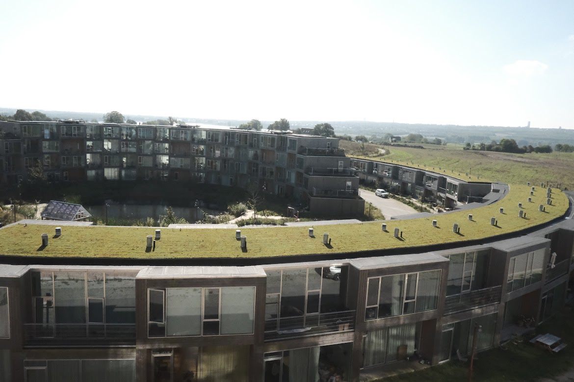 デンマークの新興住宅地Nyeを視察しました