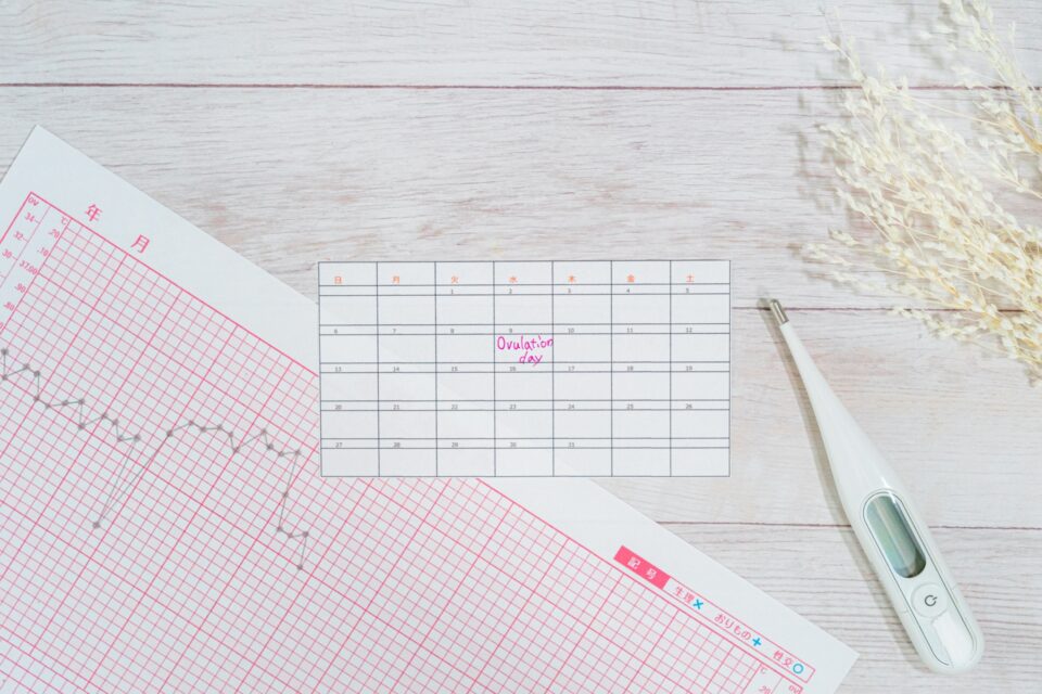 どのタイミングで受診すればいい?妊活や不妊治療の相談