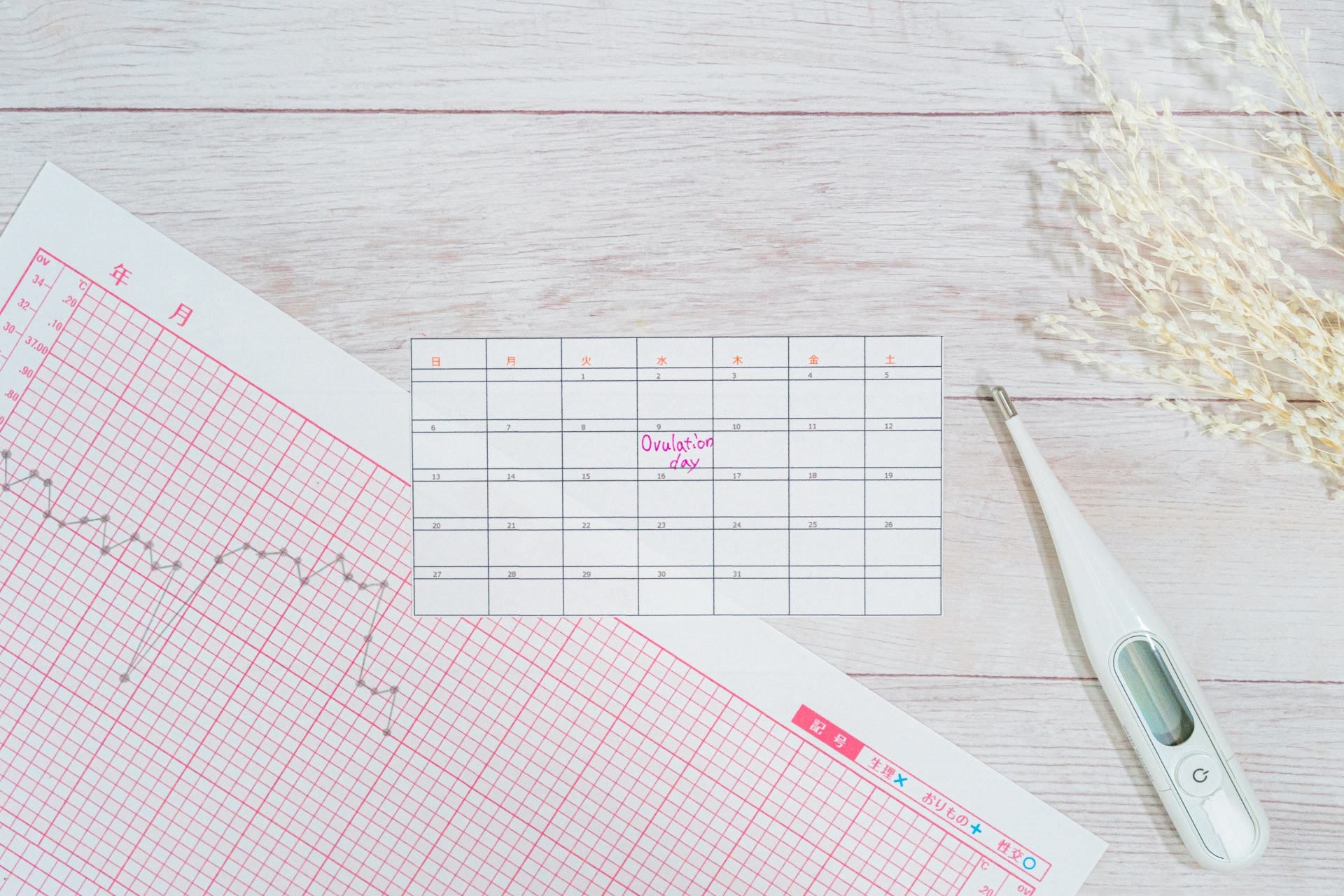 どのタイミングで受診すればいい？妊活や不妊治療の相談