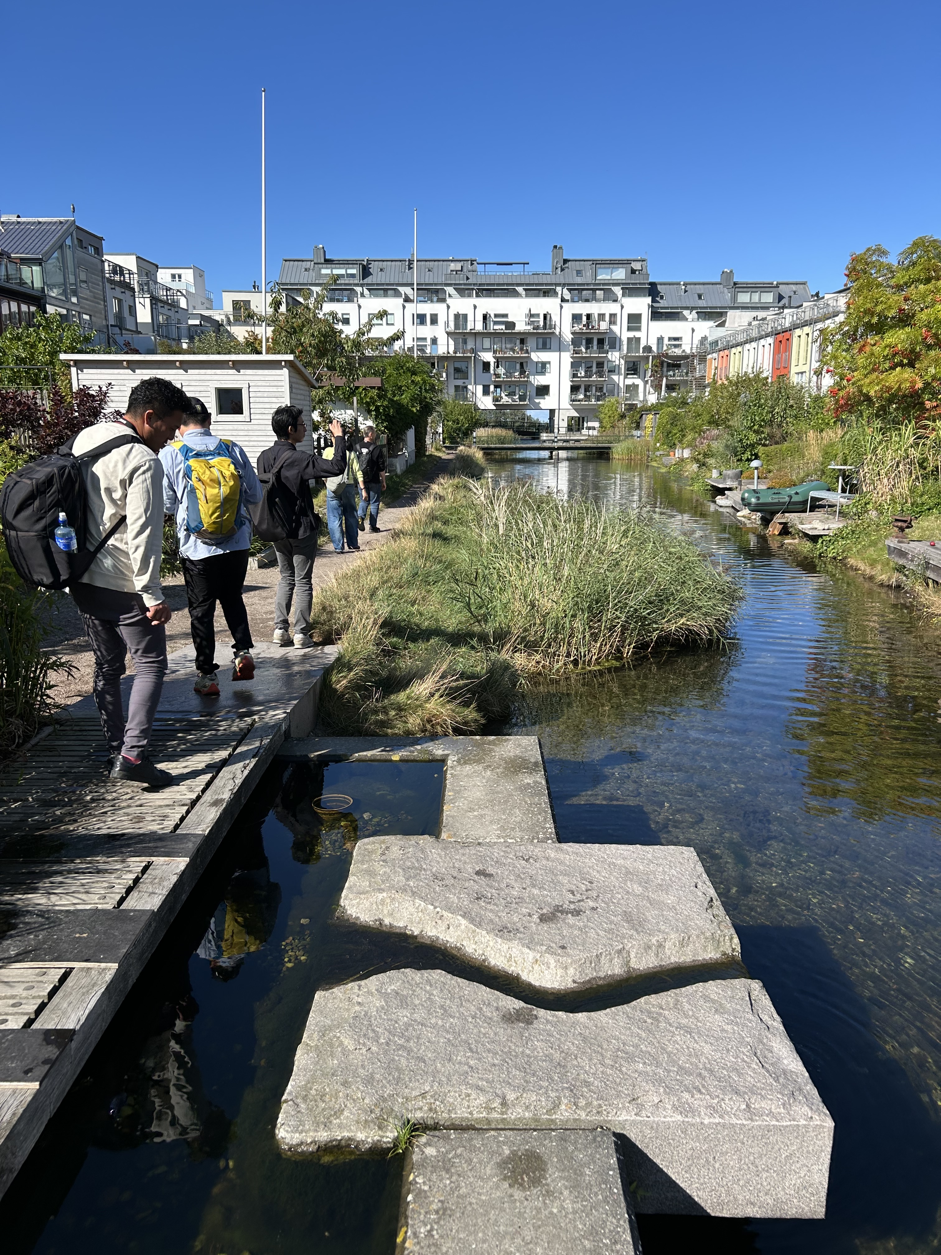 小鳥が水を飲むことができるよう設計されたビオトープ　